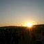 HIGHFIELD Festival // 21. - 23. August 2009 // Stausee Hohenfelden (Th�ringen)