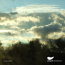 Peapod Recordings - Winter 2009 Preview Compilation